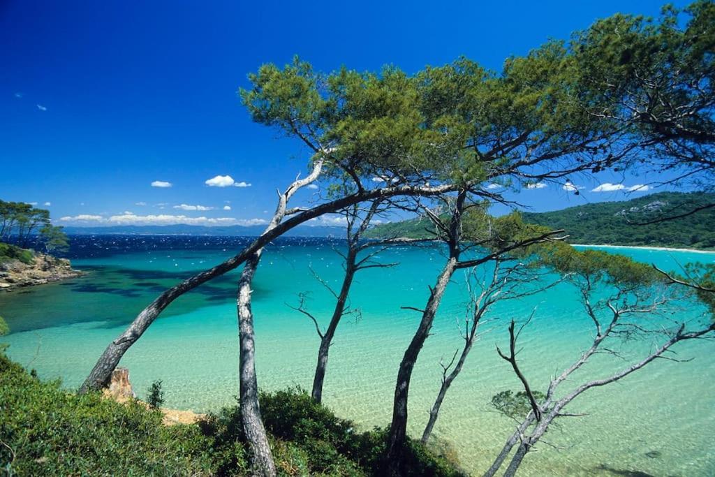 Provence Verdon Villa Tavernes Eksteriør bilde